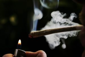 Lee más sobre el artículo Adicción al cannabis. La adicción normalizada