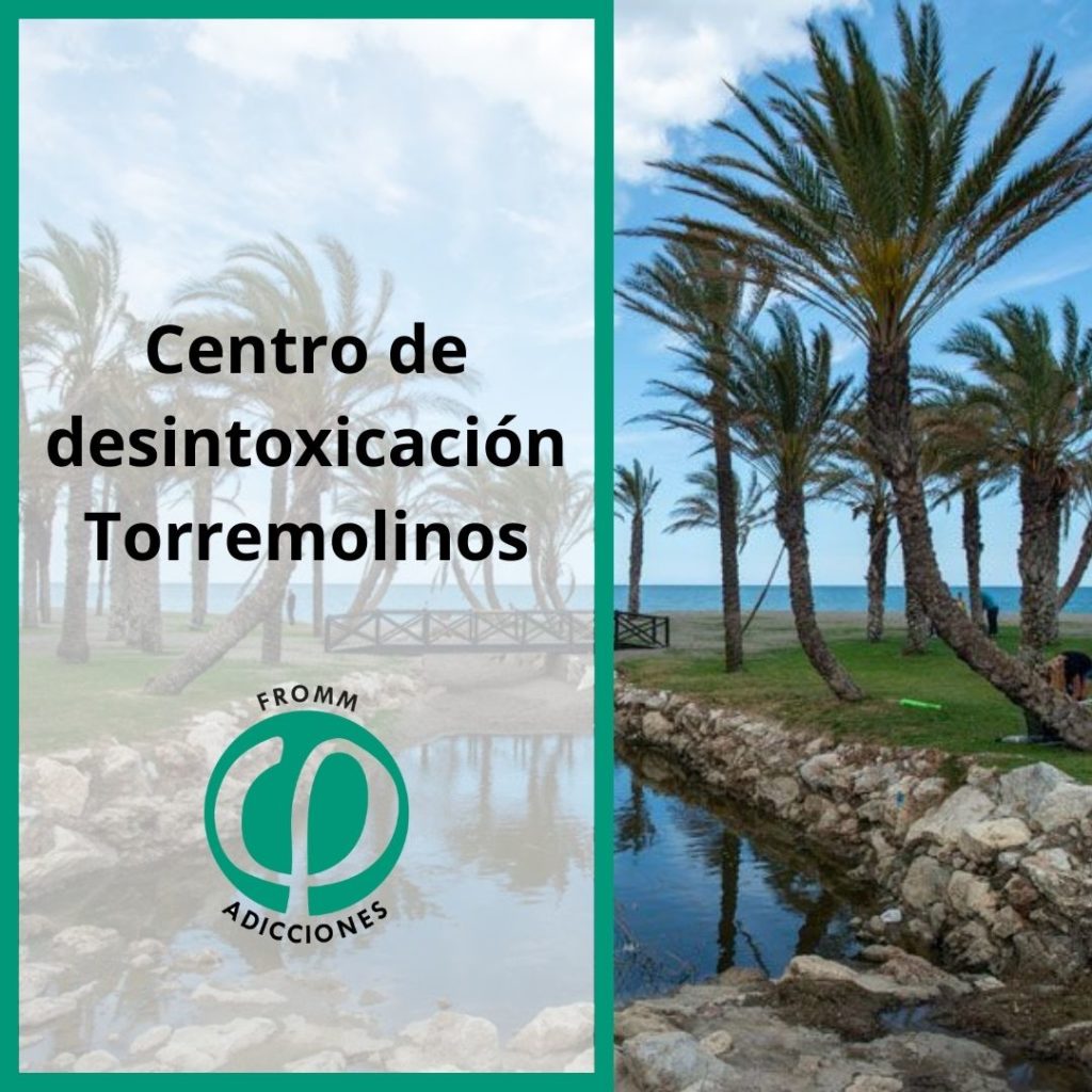Centro de desintoxicación en Torremolinos - frommbienestar.es