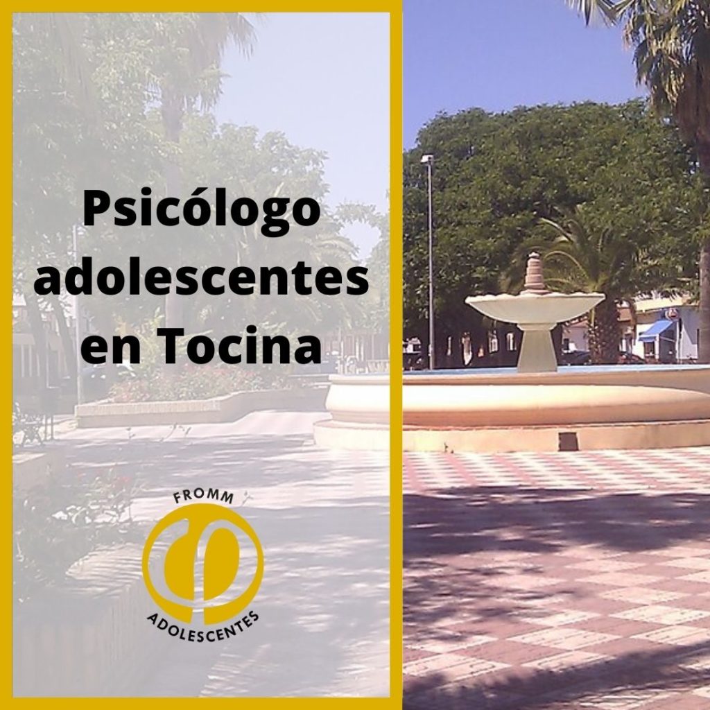 adolescentes en Tocina